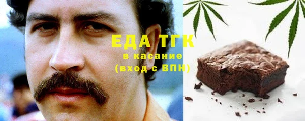 гашик Алзамай