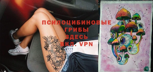 гашик Алзамай