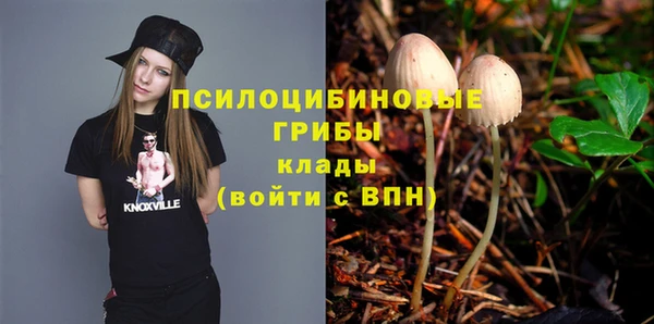 гашик Алзамай
