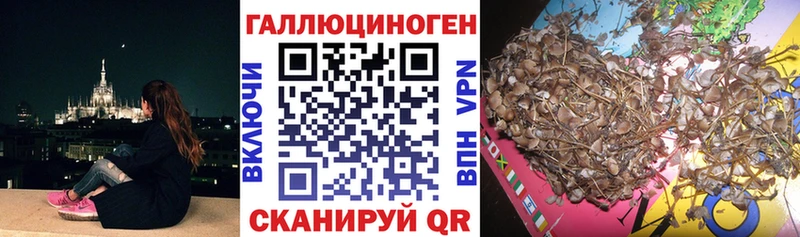 Псилоцибиновые грибы GOLDEN TEACHER  Изобильный 